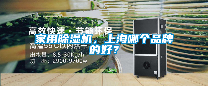 家用除濕機(jī)，上海哪個(gè)品牌的好？