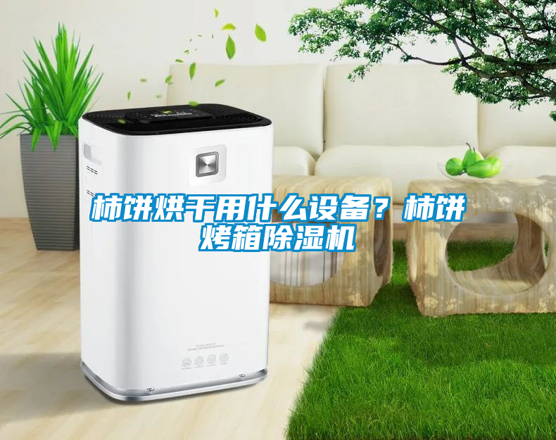 柿餅烘干用什么設(shè)備？柿餅烤箱除濕機(jī)
