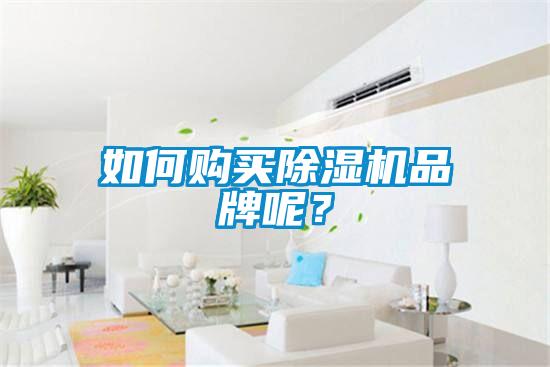 如何購買除濕機品牌呢？