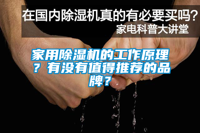 家用除濕機(jī)的工作原理？有沒有值得推薦的品牌？