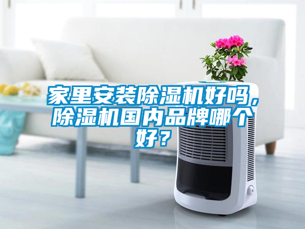 家里安裝除濕機好嗎，除濕機國內品牌哪個好？