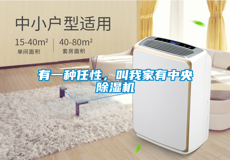 有一種任性，叫我家有中央除濕機(jī)