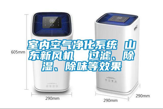 室內(nèi)空氣凈化系統(tǒng) 山東新風(fēng)機(jī)  過濾、除濕、除味等效果