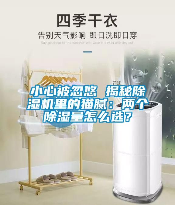 小心被忽悠 揭秘除濕機里的貓膩：兩個除濕量怎么選？
