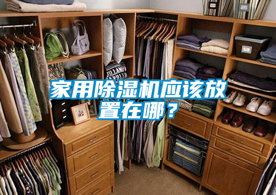 家用除濕機應該放置在哪？