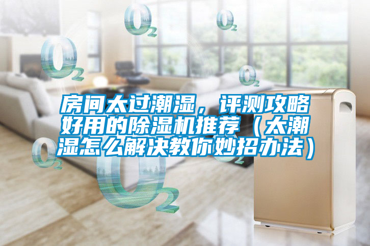 房間太過潮濕，評(píng)測(cè)攻略好用的除濕機(jī)推薦（太潮濕怎么解決教你妙招辦法）