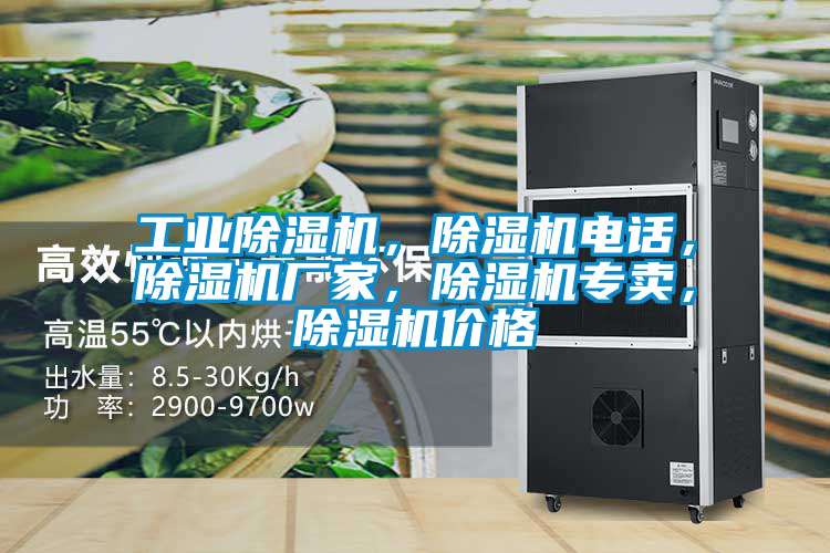 工業(yè)除濕機(jī)，除濕機(jī)電話，除濕機(jī)廠家，除濕機(jī)專(zhuān)賣(mài)，除濕機(jī)價(jià)格