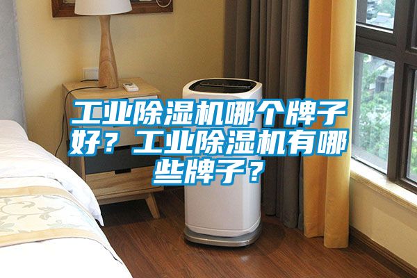 工業(yè)除濕機(jī)哪個(gè)牌子好？工業(yè)除濕機(jī)有哪些牌子？
