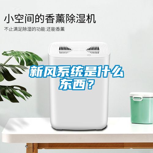新風(fēng)系統(tǒng)是什么東西？
