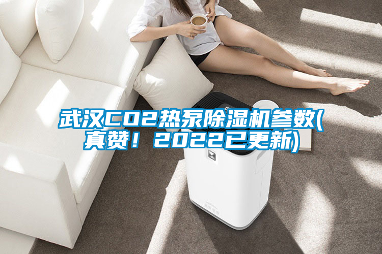 武漢CO2熱泵除濕機參數(shù)(真贊！2022已更新)