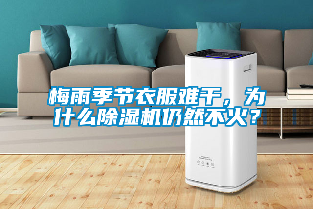 梅雨季節(jié)衣服難干，為什么除濕機(jī)仍然不火？