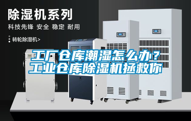 工廠倉庫潮濕怎么辦？工業(yè)倉庫除濕機(jī)拯救你