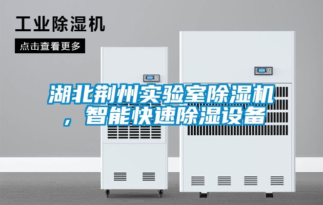 湖北荊州實驗室除濕機，智能快速除濕設(shè)備