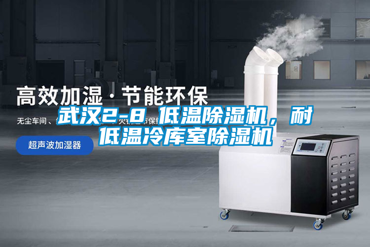 武漢2-8℃低溫除濕機，耐低溫冷庫室除濕機