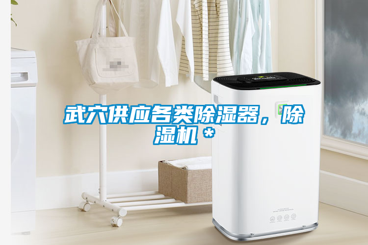武穴供應(yīng)各類除濕器，除濕機(jī)＊