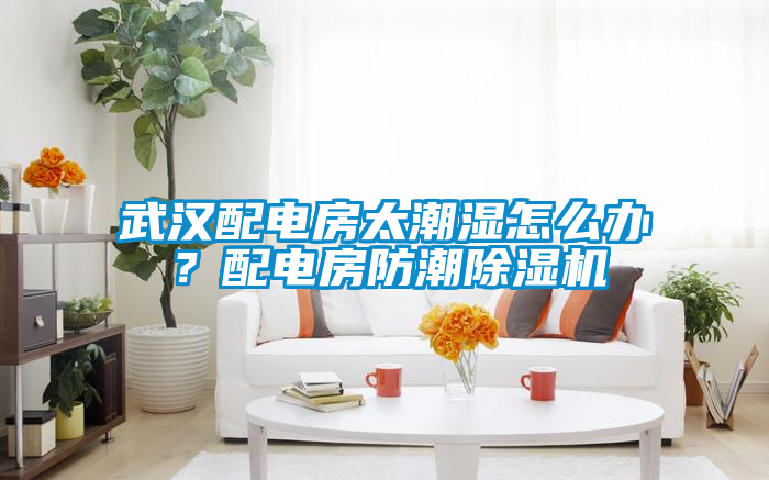 武漢配電房太潮濕怎么辦？配電房防潮除濕機(jī)
