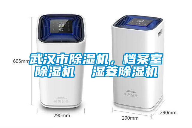 武漢市除濕機，檔案室除濕機  濕菱除濕機