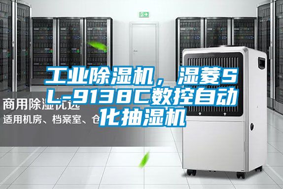 工業(yè)除濕機，濕菱SL-9138C數(shù)控自動化抽濕機