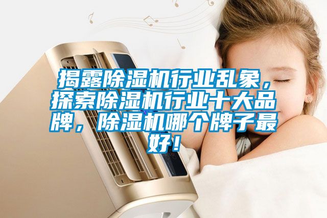 揭露除濕機行業(yè)亂象，探索除濕機行業(yè)十大品牌，除濕機哪個牌子最好！