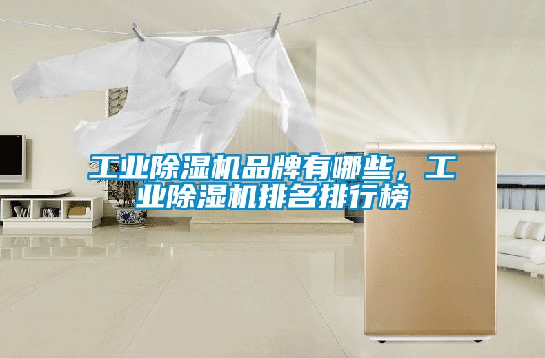 工業(yè)除濕機(jī)品牌有哪些，工業(yè)除濕機(jī)排名排行榜