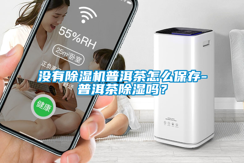 沒(méi)有除濕機(jī)普洱茶怎么保存-普洱茶除濕嗎？
