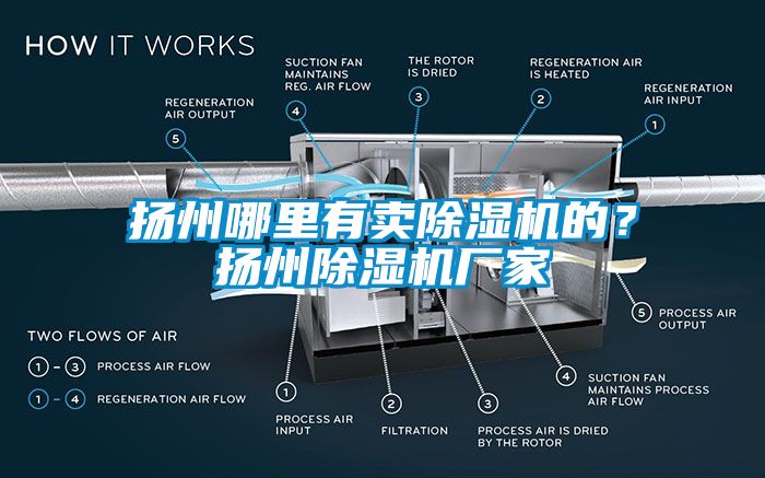 揚州哪里有賣除濕機的？揚州除濕機廠家
