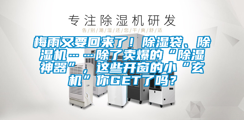 梅雨又要回來了！除濕袋、除濕機(jī)……除了賣爆的“除濕神器”，這些開窗的小“玄機(jī)”你GET了嗎？