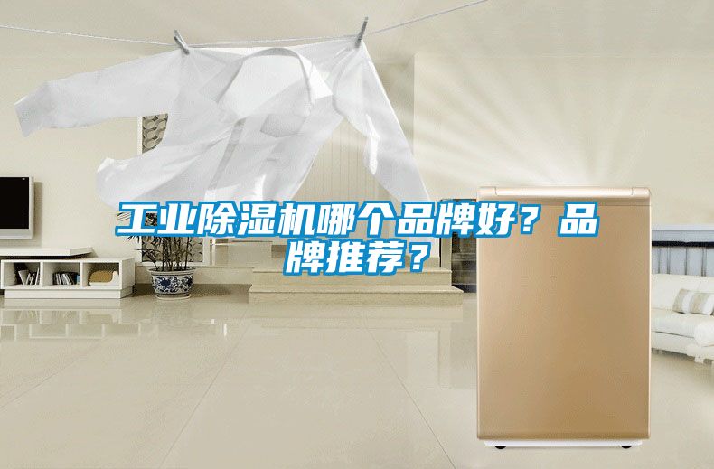 工業(yè)除濕機哪個品牌好？品牌推薦？