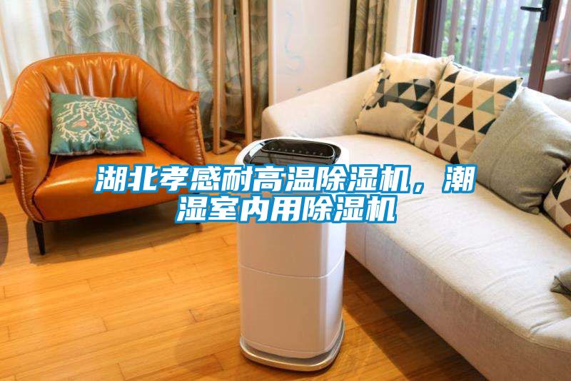 湖北孝感耐高溫除濕機，潮濕室內(nèi)用除濕機