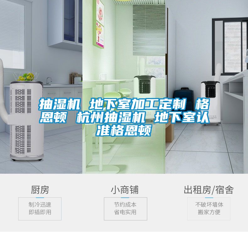 抽濕機 地下室加工定制 格恩頓 杭州抽濕機 地下室認(rèn)準(zhǔn)格恩頓