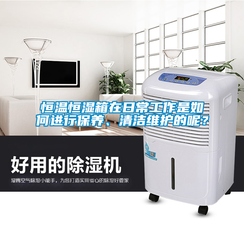 恒溫恒濕箱在日常工作是如何進(jìn)行保養(yǎng)、清潔維護(hù)的呢？