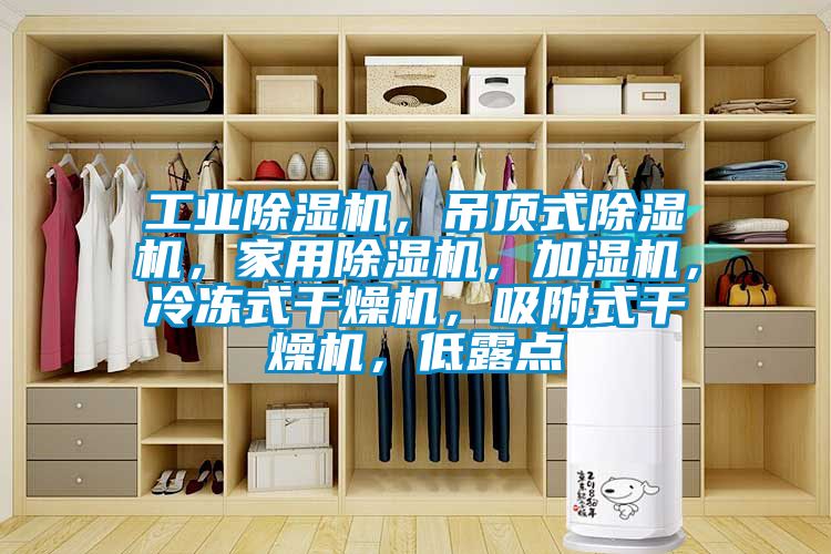 工業(yè)除濕機，吊頂式除濕機，家用除濕機，加濕機，冷凍式干燥機，吸附式干燥機，低露點