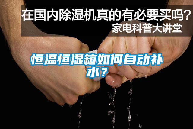 恒溫恒濕箱如何自動補(bǔ)水？