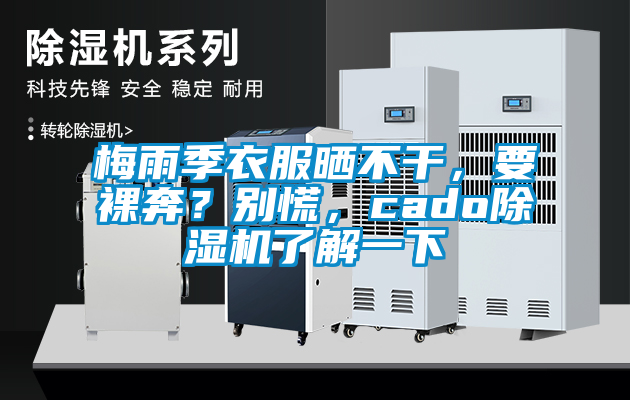梅雨季衣服曬不干，要裸奔？別慌，cado除濕機(jī)了解一下