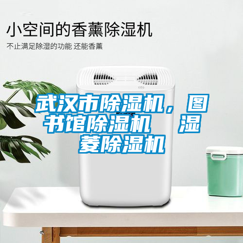 武漢市除濕機，圖書館除濕機  濕菱除濕機