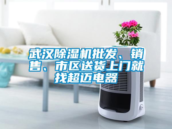 武漢除濕機(jī)批發(fā)、銷售、市區(qū)送貨上門就找超邁電器