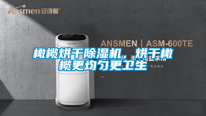 橄欖烘干除濕機(jī)，烘干橄欖更均勻更衛(wèi)生