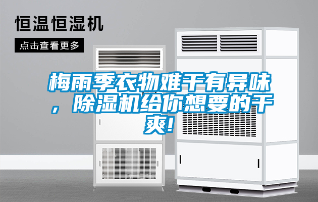 梅雨季衣物難干有異味，除濕機(jī)給你想要的干爽!