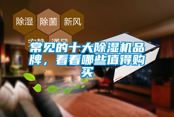 常見的十大除濕機(jī)品牌，看看哪些值得購(gòu)買
