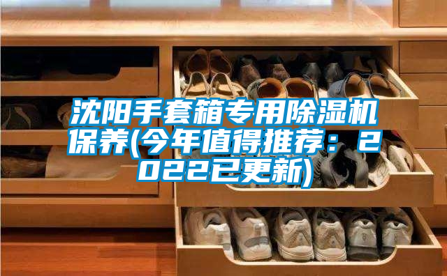 沈陽(yáng)手套箱專(zhuān)用除濕機(jī)保養(yǎng)(今年值得推薦：2022已更新)