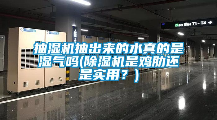 抽濕機(jī)抽出來(lái)的水真的是濕氣嗎(除濕機(jī)是雞肋還是實(shí)用？)