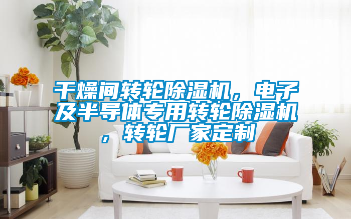 干燥間轉(zhuǎn)輪除濕機(jī)，電子及半導(dǎo)體專用轉(zhuǎn)輪除濕機(jī)，轉(zhuǎn)輪廠家定制