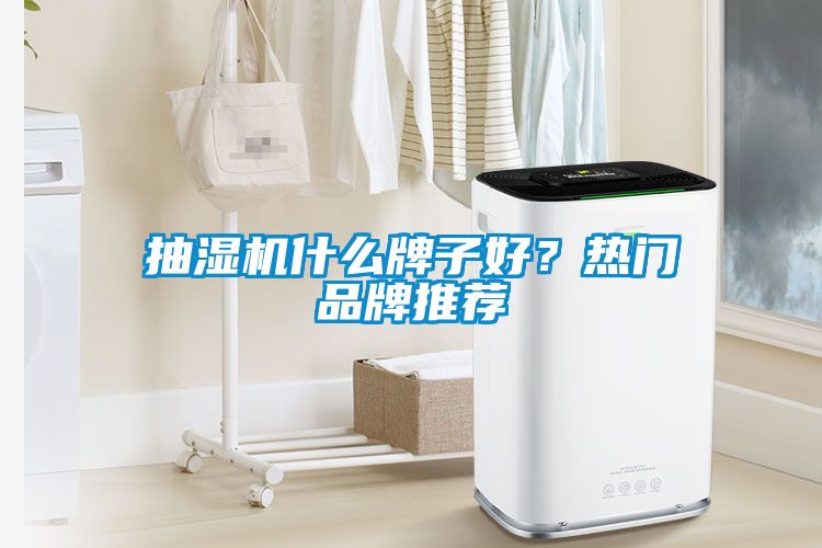 抽濕機什么牌子好？熱門品牌推薦