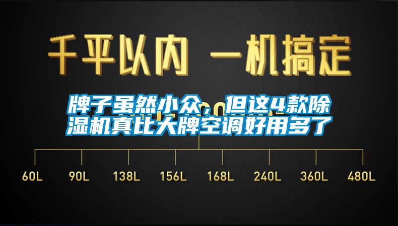 牌子雖然小眾，但這4款除濕機(jī)真比大牌空調(diào)好用多了