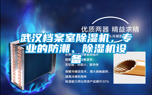 武漢檔案室除濕機，專業(yè)的防潮、除濕機設(shè)備
