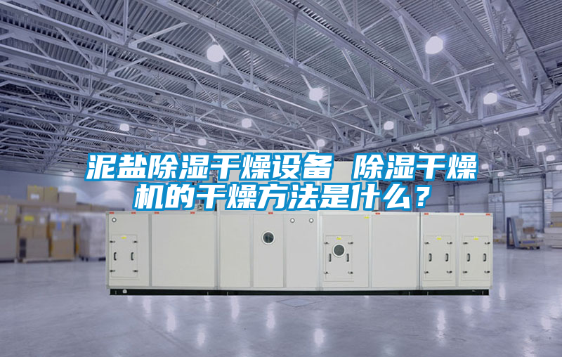 泥鹽除濕干燥設(shè)備 除濕干燥機(jī)的干燥方法是什么？
