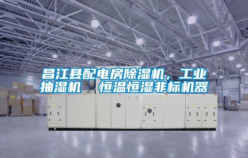 昌江縣配電房除濕機(jī)，工業(yè)抽濕機(jī)  恒溫恒濕非標(biāo)機(jī)器