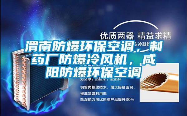 渭南防爆環(huán)?？照{(diào)，制藥廠防爆冷風機，咸陽防爆環(huán)保空調(diào)