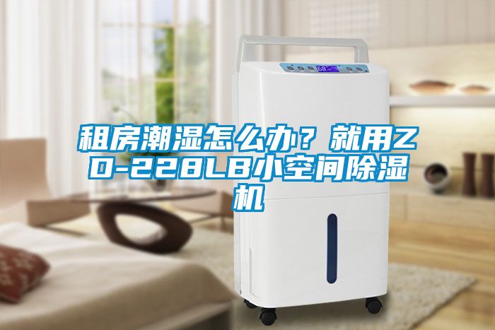 租房潮濕怎么辦？就用ZD-228LB小空間除濕機(jī)