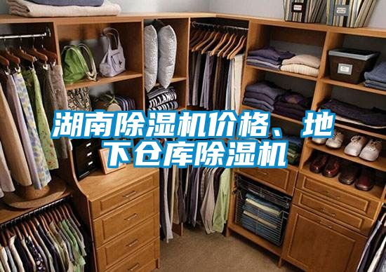 湖南除濕機(jī)價(jià)格、地下倉(cāng)庫(kù)除濕機(jī)